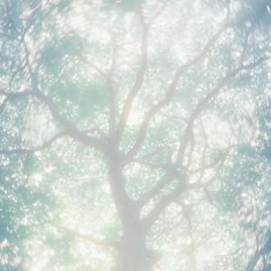 嫩BⅩ嫩B十嫩Bx嫰B
